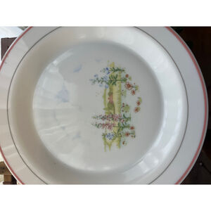 Arcopal White Pink Floral Dinnerware Plate One Size